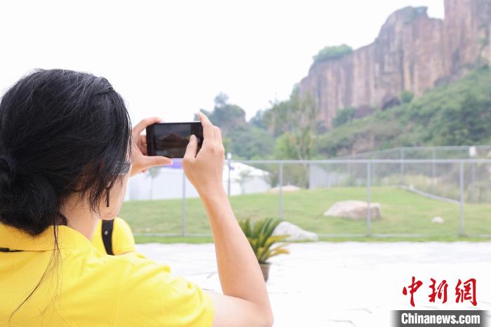 来自海内外的台胞青年参